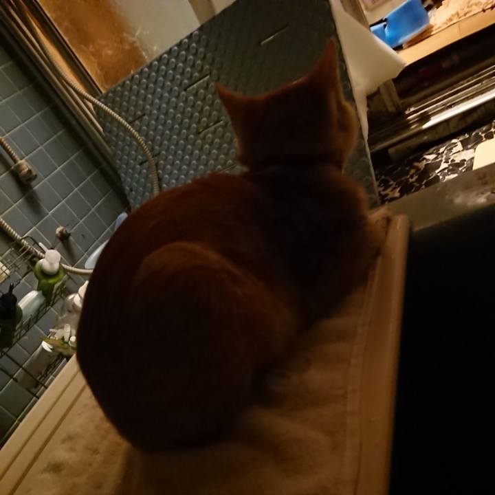 F97001cc 6b2c 40fa a2c3 d4f640478f36 1634723863875