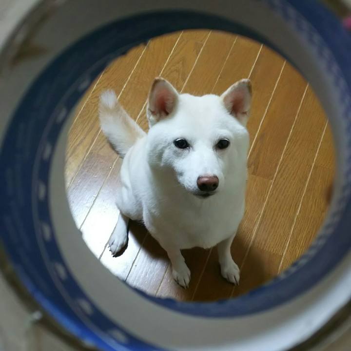 F9705acd a236 4fab b82c bbe8fef1b9b5 1570495360816