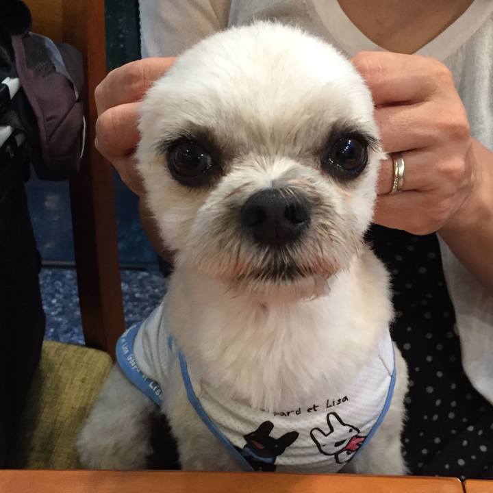 F9706041 afc1 4722 a473 5ba9139a931d 1564219466570