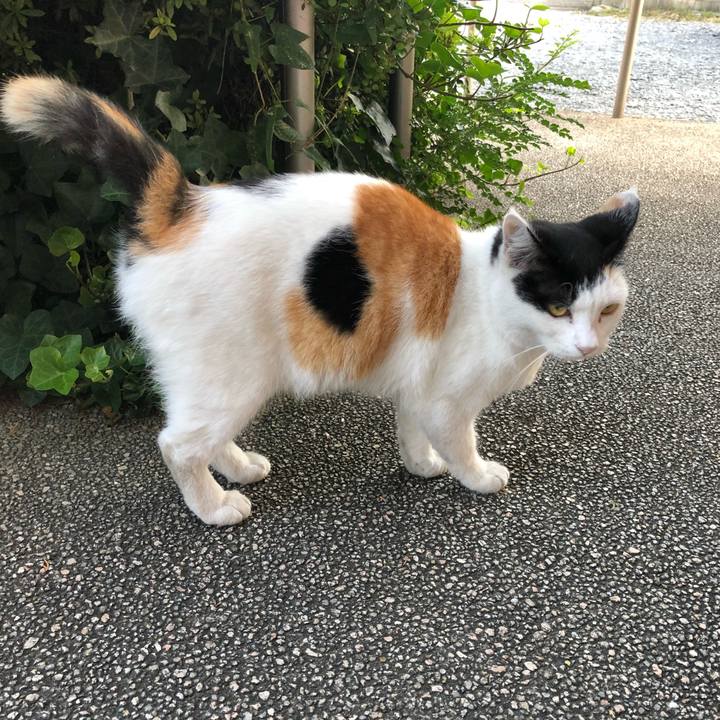 F9707b34 c7db 416b b4c4 27ea65a7f114 1600812132815