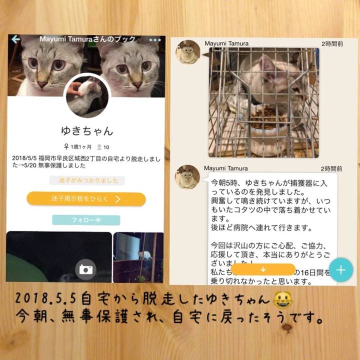 F9708025 5fc8 4237 987d e130c6552685 1526770953362