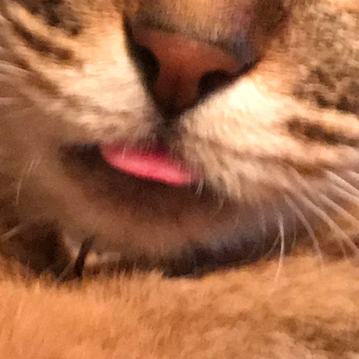 F970d753 bf48 4dd0 ace4 54a5f06669f8 1595655975806