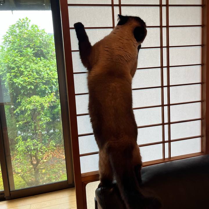 F970d99b 1ce9 46e1 9355 0bdfa2f0f1f1 1654476172134