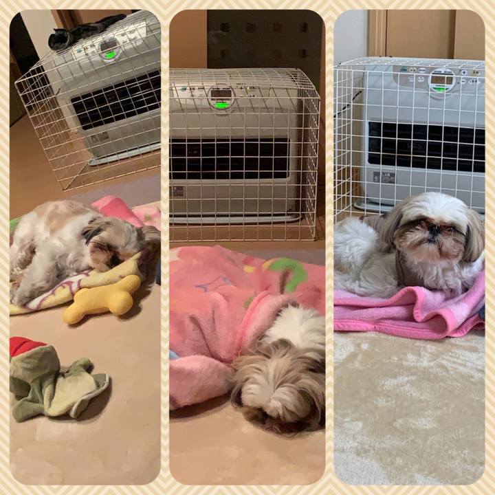 F971014a af2a 48cc 982d 0695de192fe9 1648958092258