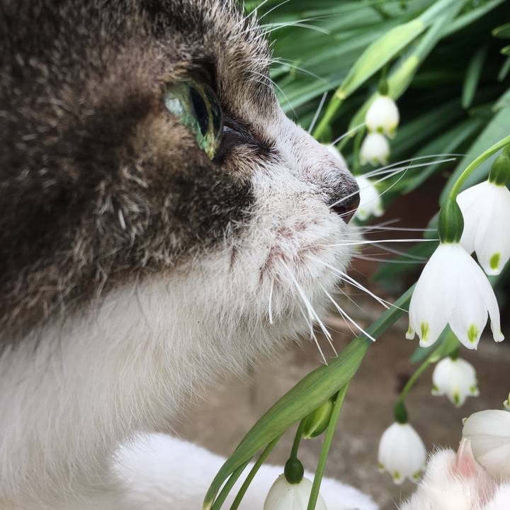 F97140e1 9cb2 4a94 8c5b cbb6fab15830 1521857426834