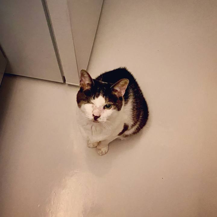 F97156e1 90d2 490d a215 805d46faa332 1595513701804