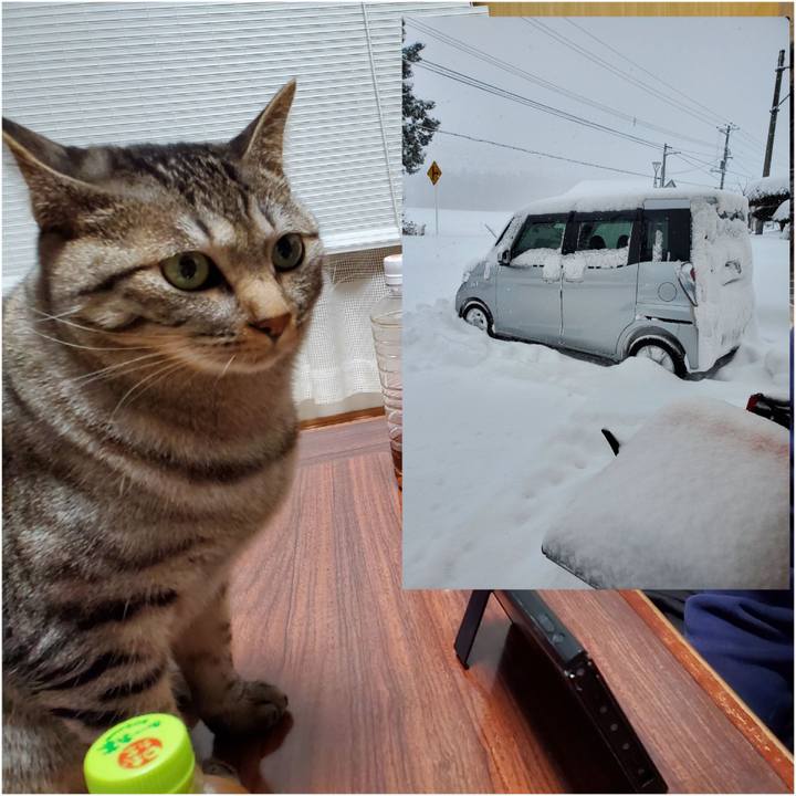 F97157cb ed6d 4971 8e78 50f3ba8a4fdd 1704381810246