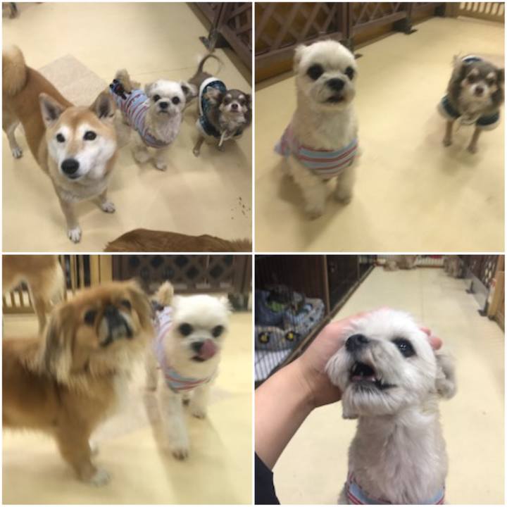 F97159b4 21c8 42b1 9d3d bd89e568452c 1575117348866