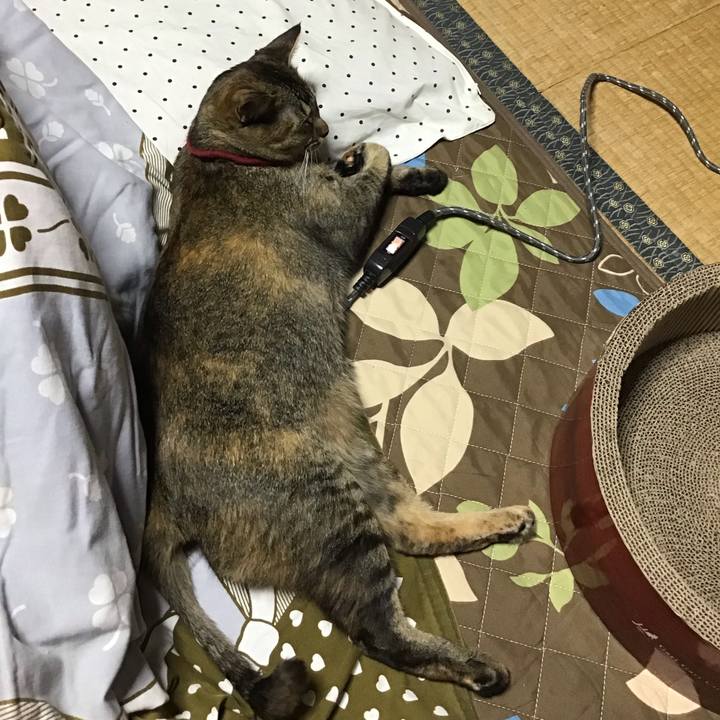 F971683b ac0a 4458 af11 91fe13c61d56 1602315362410