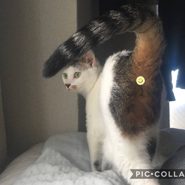 F9716b77 5625 4a46 a5b2 445639976221 1597224406791