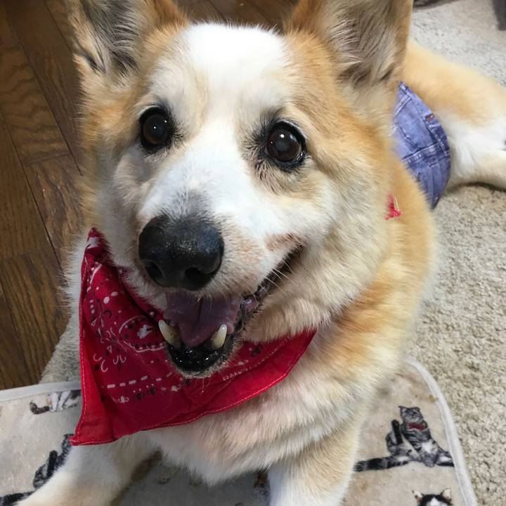 F9718d24 0dc4 458f 8f50 8350ec3132c8 1559261834336