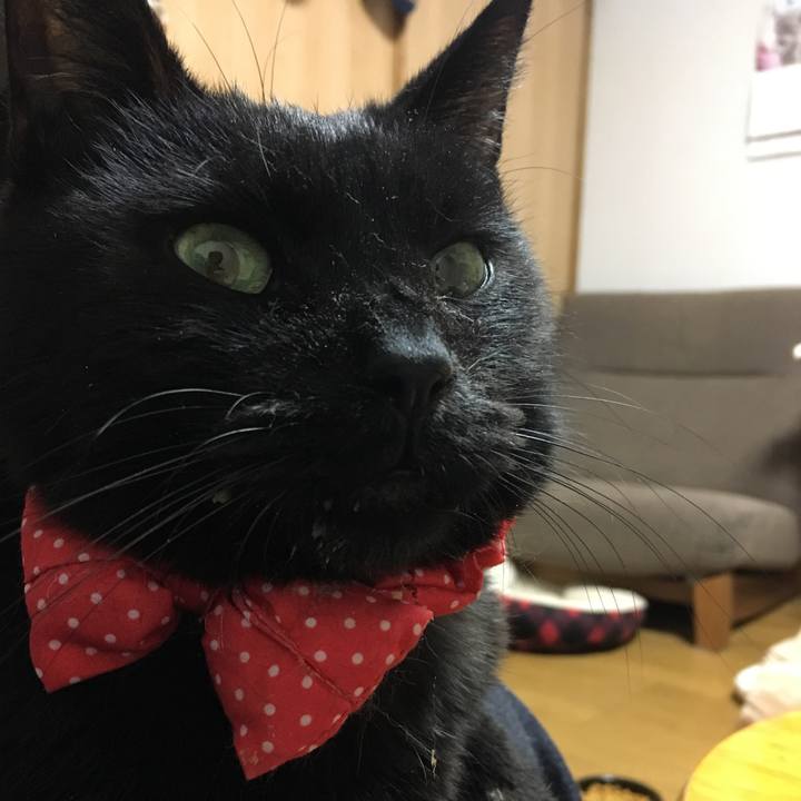 F971fe25 335f 49ca bad8 98505901a2d6 1551259204528