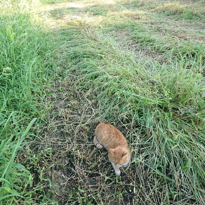 F97238a4 80d1 4eab 846d 31d2dd208bce 1566029836205