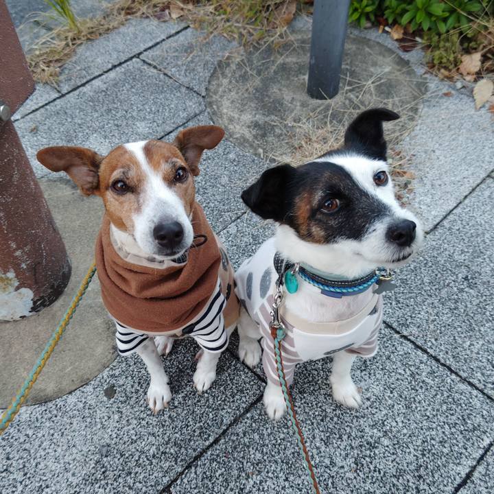 F97283ae eac6 430e 8353 5cd5d13f870b 1733089761759