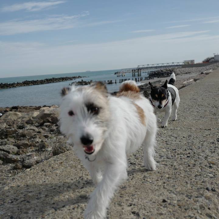 F9729353 2a00 4405 9405 6a52eef35282 1523679747861