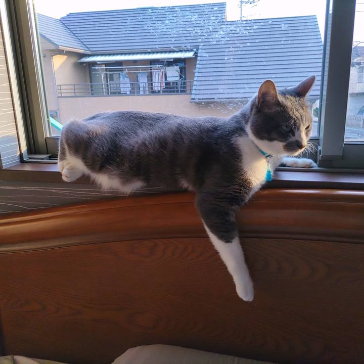 F972c62e f1b2 442f a6eb 20f3c166be75 1658353737454