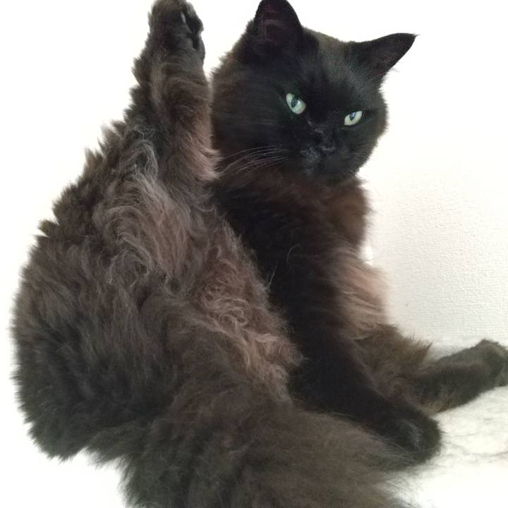 F972c824 d5f7 4c2f a0b1 1162c494906c 1623284079654