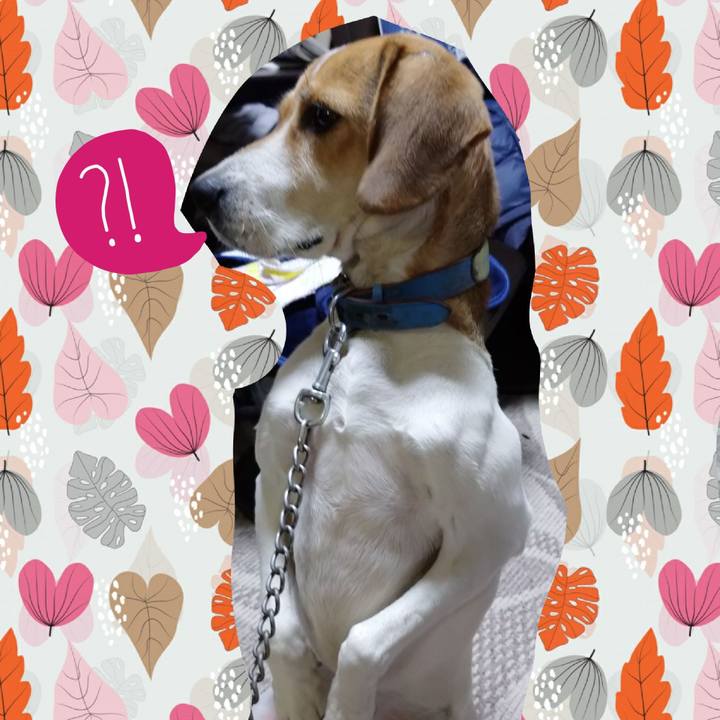 F972e69f 2a46 402a ba69 95306c26eade 1607253551170