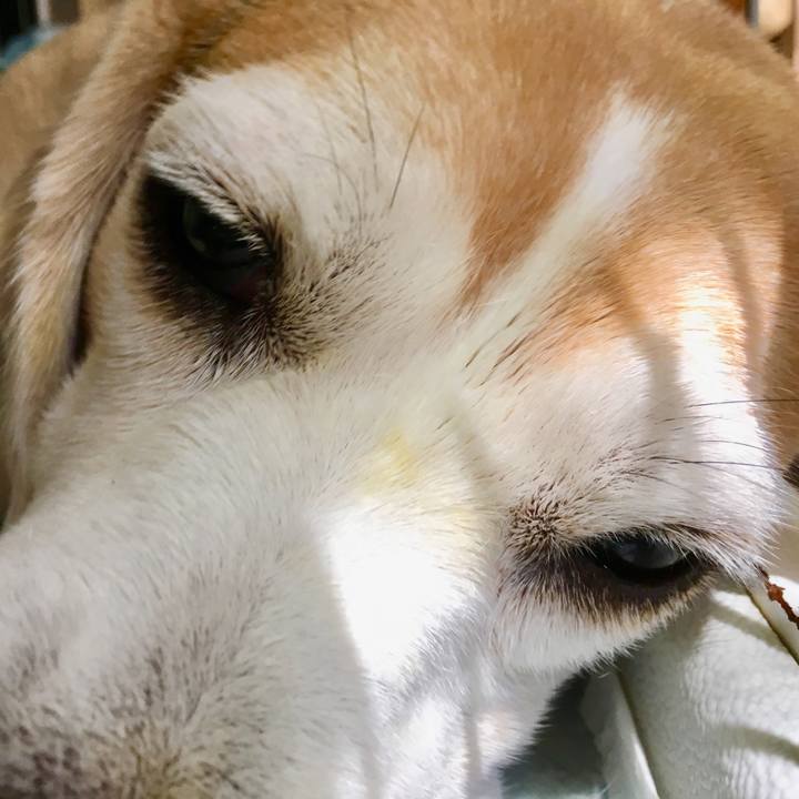 F9730079 8409 4668 ae13 1912b3b8eb82 1536463855716