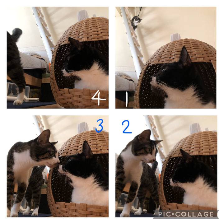 F9730145 d527 4e25 9499 799ce28d3642 1632516851912