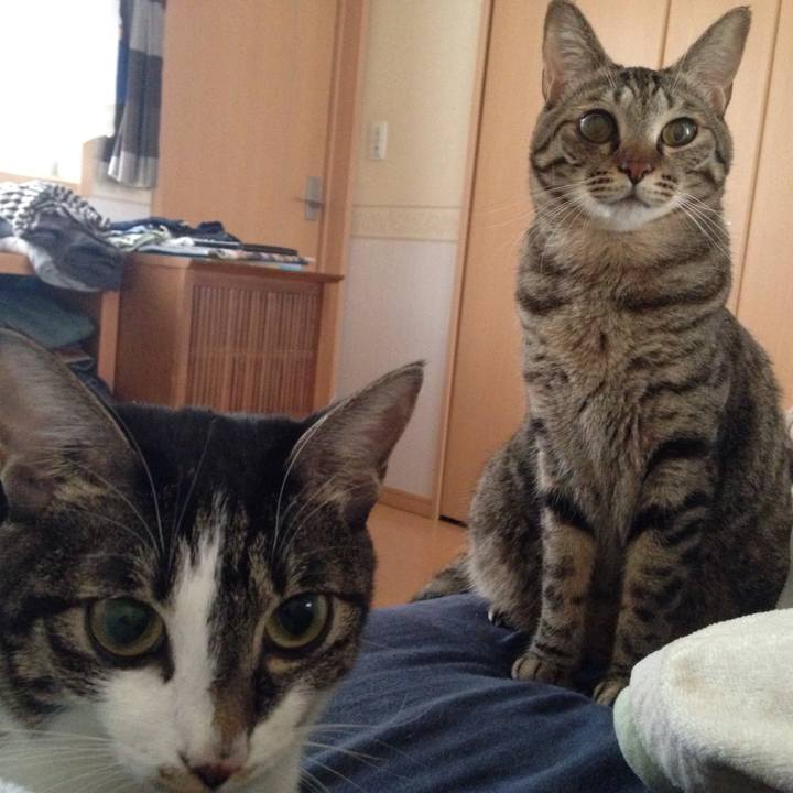 F97314db a661 4ff8 a284 b3233e0c82a6 1508470905570