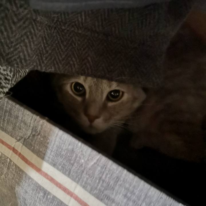 F9733b97 c95f 4ae2 8d1e 4ba58d34f3e6 1588559037230