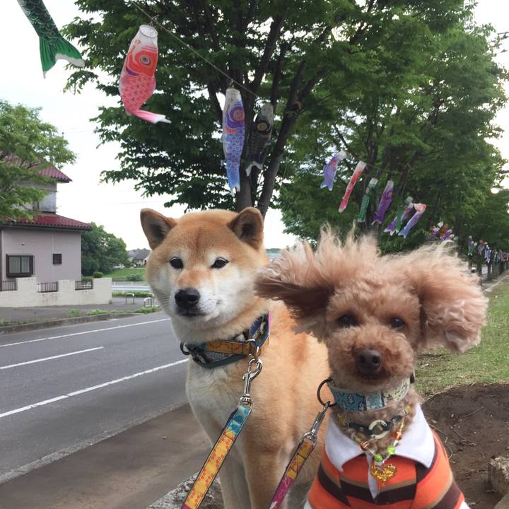 F97358b0 37b3 497a bb4f 3f0e9d94d7ba 1525430769183