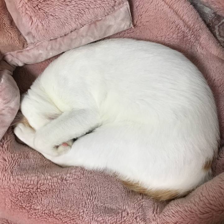 F973a5cd 595d 4686 a541 1599dc7fcc8f 1508923359794