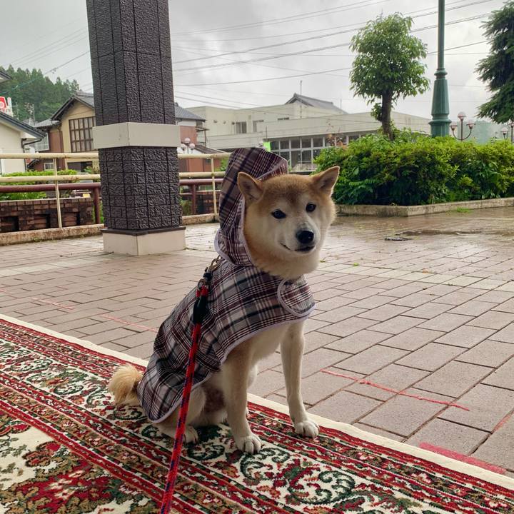 F973ad7b 30d3 47cd 8502 e792345695c6 1686557876427