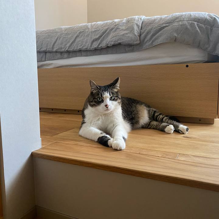 F973f0ec 936f 41f3 bdc5 a9d928f4782e 1715238536555