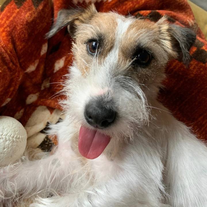 F9741a66 4d29 4783 9071 70e3493b8403 1607124355752