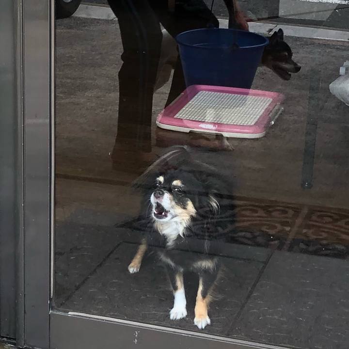 F97422c3 09aa 4453 99a6 cb2c91743438 1534053837089