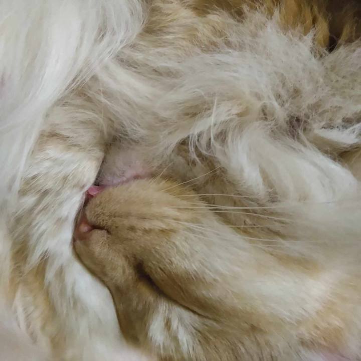 F9745f46 8a6e 4bb8 afe1 64b710e5c0f4 1709641344261