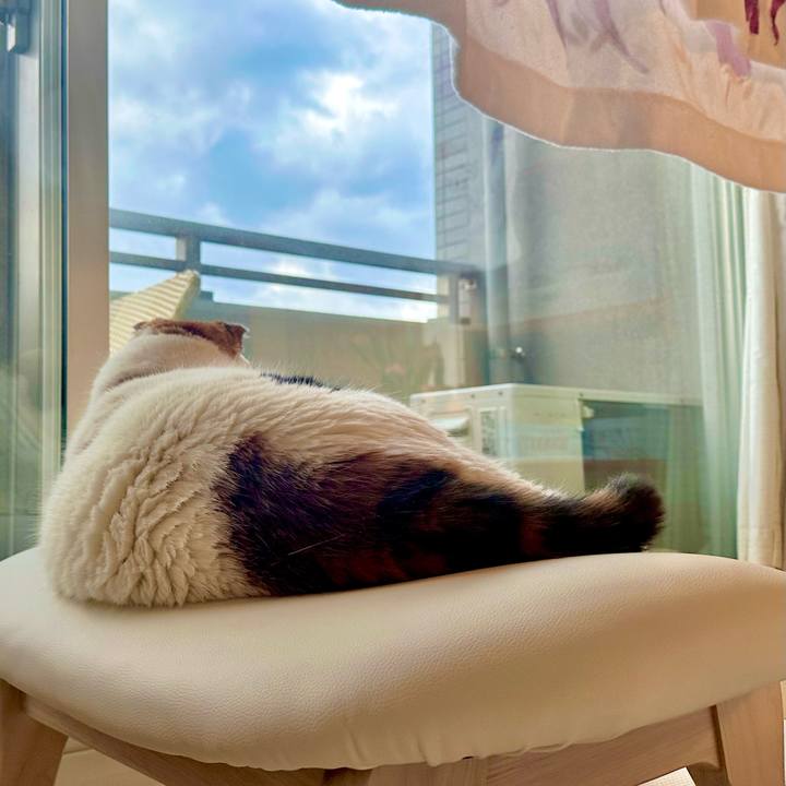 F9746013 baed 409f b63f 2f0ea43dd809 1700692212320