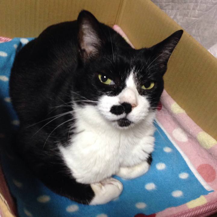 F9747c7a 9487 4a80 b648 4d925f9d2236 1513296540302