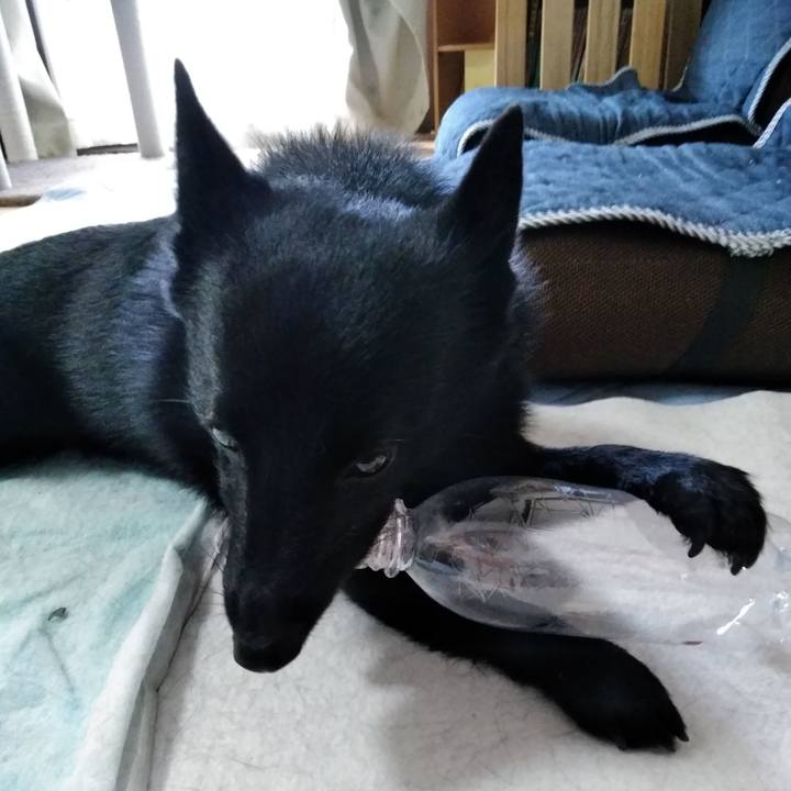 F974d59c f7c8 4a90 beaa 9a1bc0489173 1567377584327