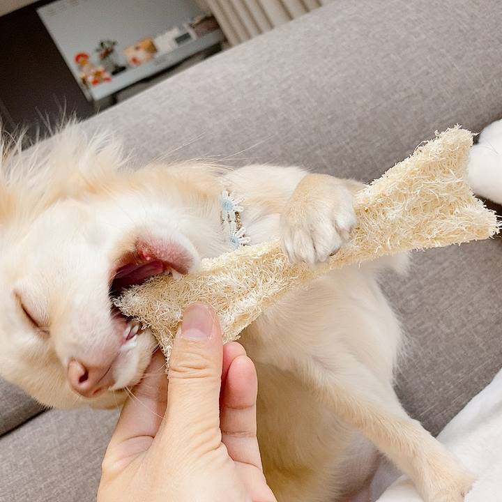 F974f648 61d3 4b0f 8c1f 6abf12d779b5 1610441038084