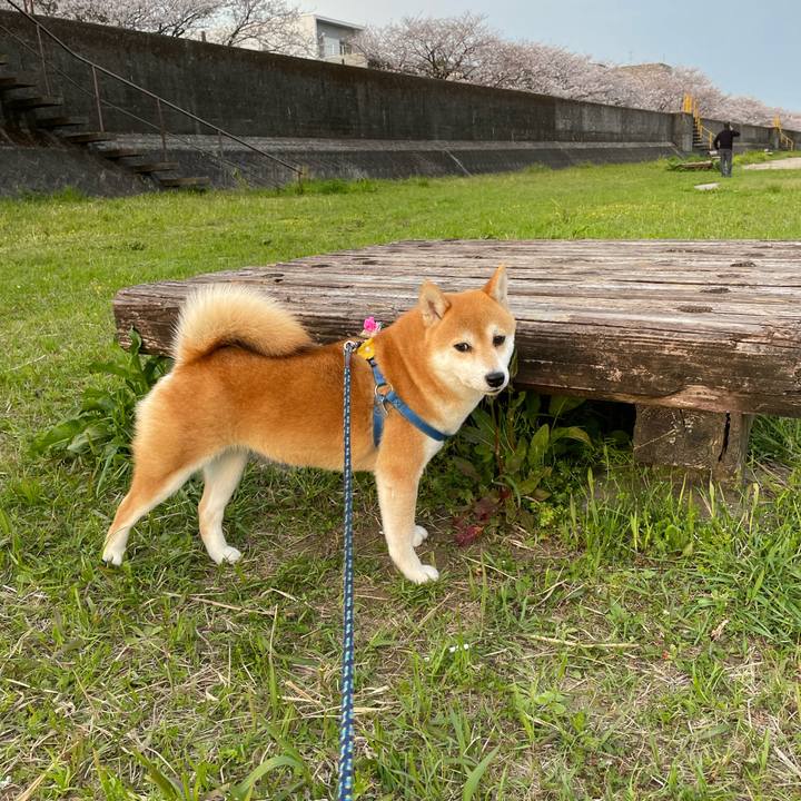 F974fcbd 6a39 441f 8e3d fb0c8f9ecfb2 1648901585413