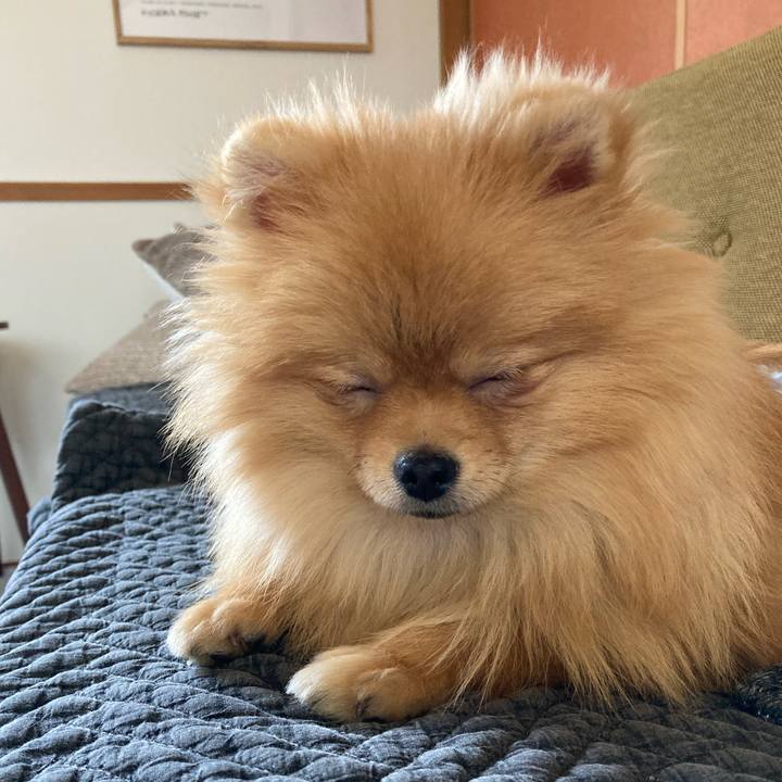 F9750428 58fc 4a37 8f98 6c36ded1ed5f 1648525930411