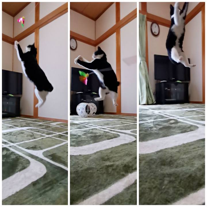 F9750944 f9f7 4ffc 9334 a324c13ffb1b 1614867135567