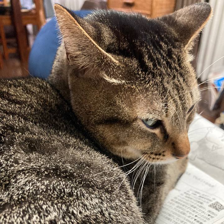 F9750b63 c207 4ad4 9eba 5452d10df826 1766355598953