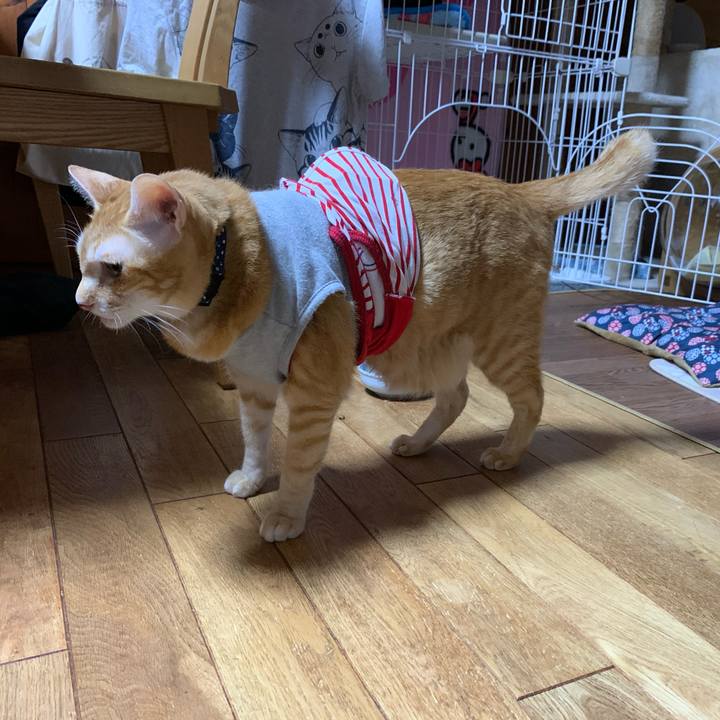 F97534b9 fdb4 422f a591 51652a9c3a68 1600174070458