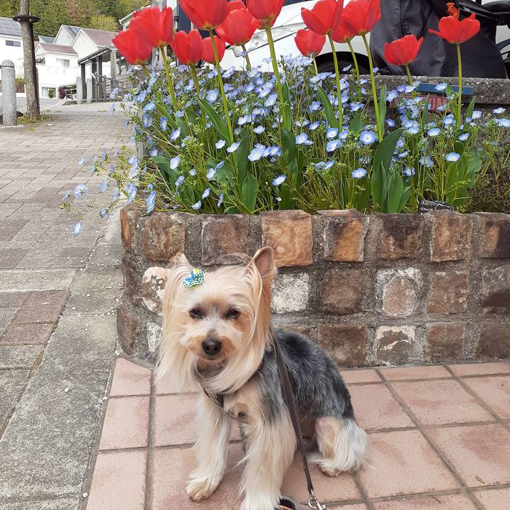 F9754baa 690c 4cda bcda efa08875e740 1649729943149