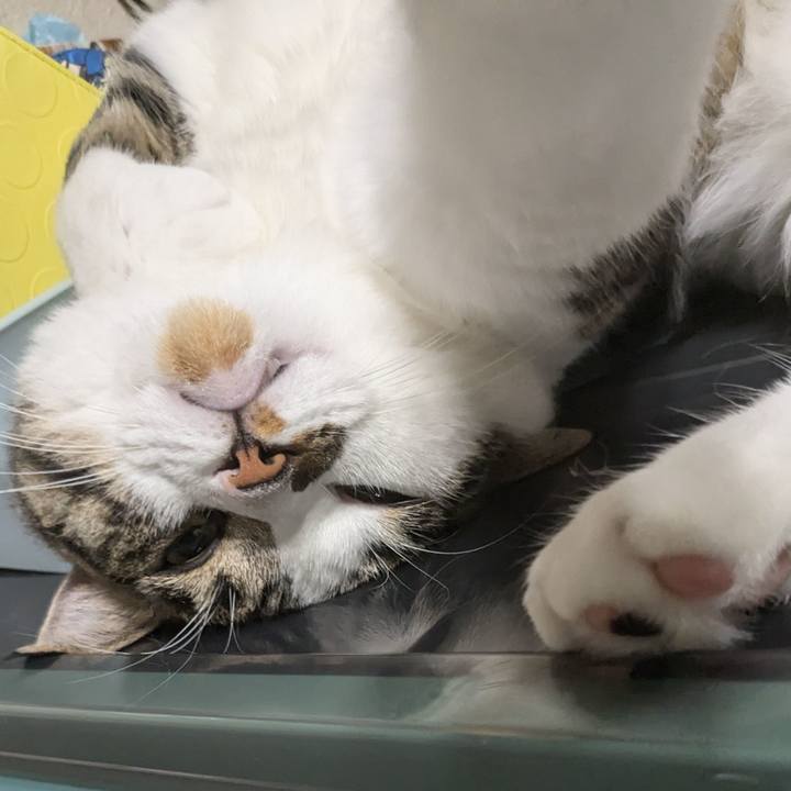 F9758bb9 948d 4af5 834f 30917cb26619 1722171394316