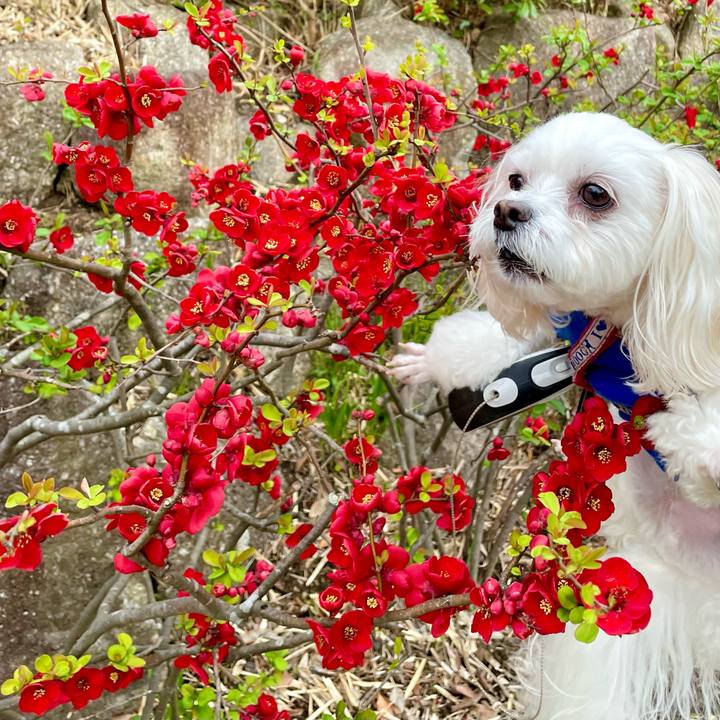 F975beb8 4958 47c8 b063 54b6303d0b71 1647923022074