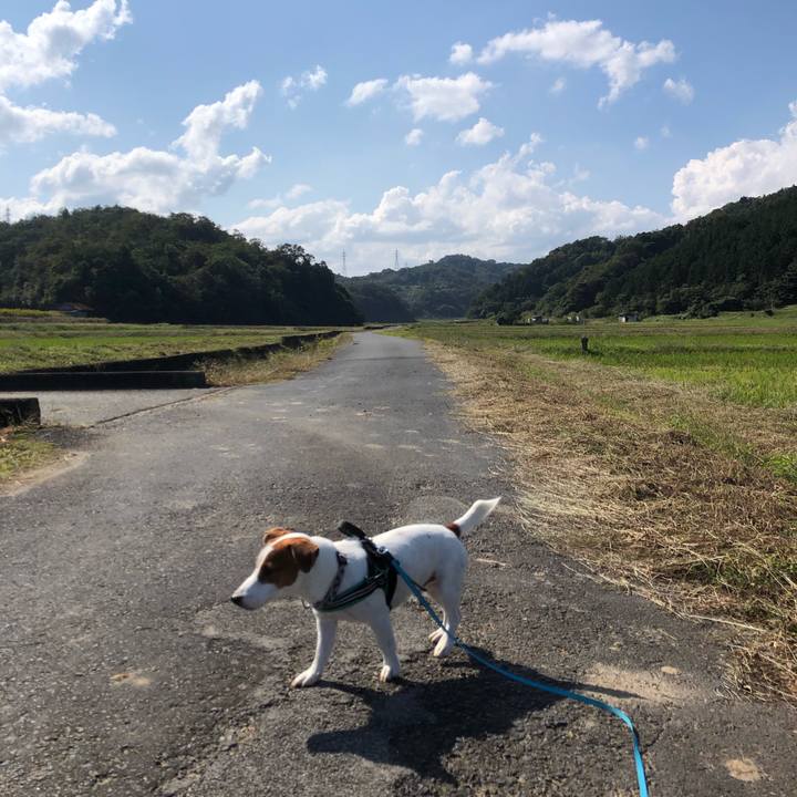 F975db8c 2b4e 4731 8acd c2d463590ec4 1603247657478