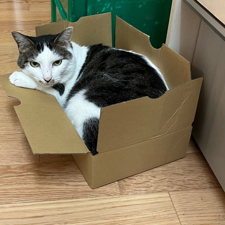 F975eeb4 614d 4c87 a97c 7d549fdd2601 1656595583167