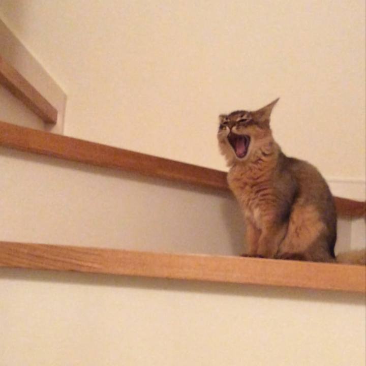 F975f284 8e74 4e2d 8eed da9ad7258505 1574414384015