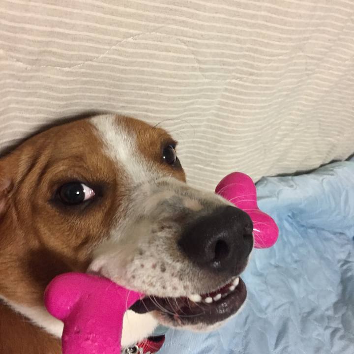 F9761620 ab03 4830 a15b 4bb628b3f2b5 1531922017944