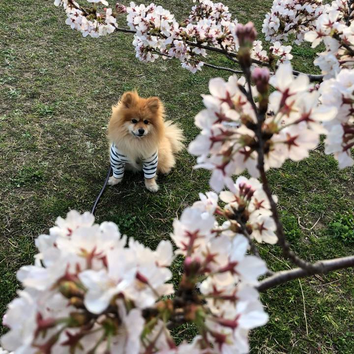 F9764030 d0af 45d8 be94 717e3042a02d 1584923575239